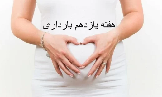 هفته یازدهم بارداری