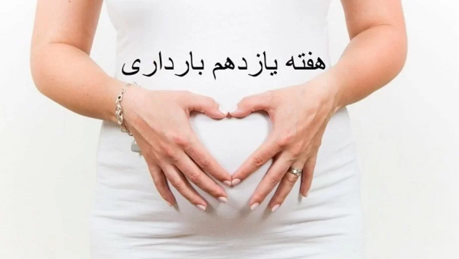 هفته یازدهم بارداری