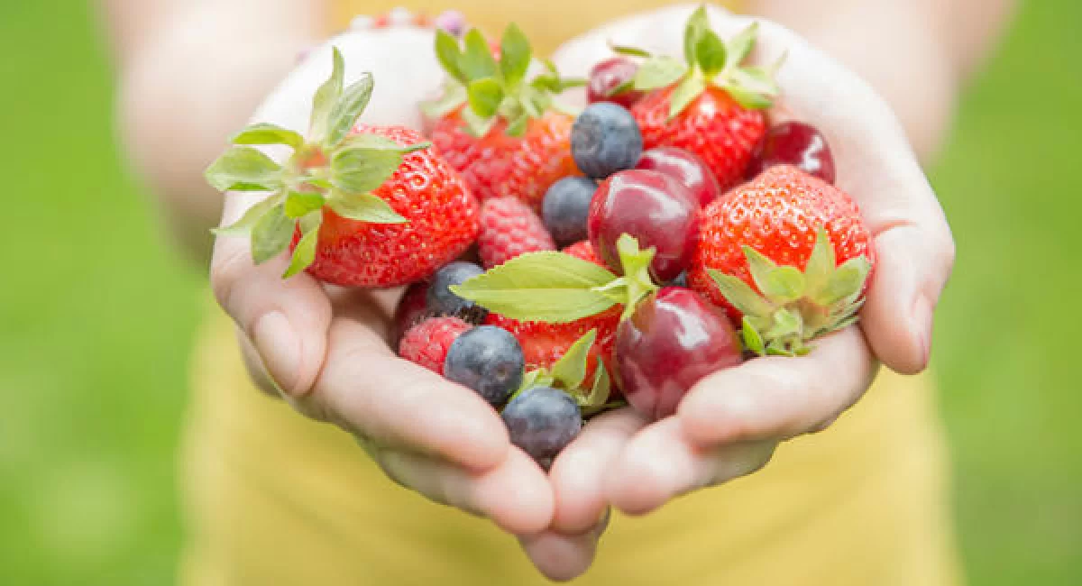 غذاهای قبل از بارداری