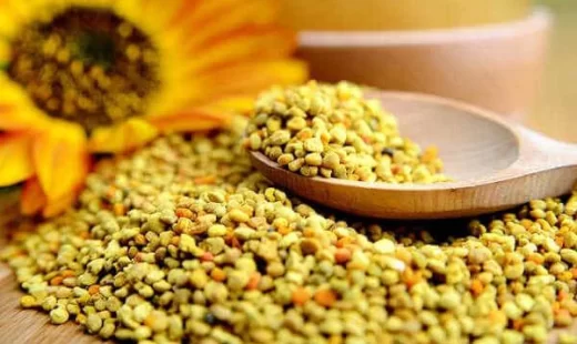 جدیدترین روش درمان نازایی با گرده زنبورعسل