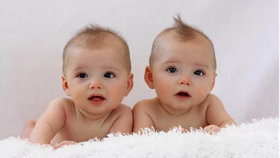 روشهای آسان برای افزایش احتمال دو قلویی