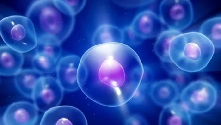از خطرات تحریک تخمدان چه می دانید؟