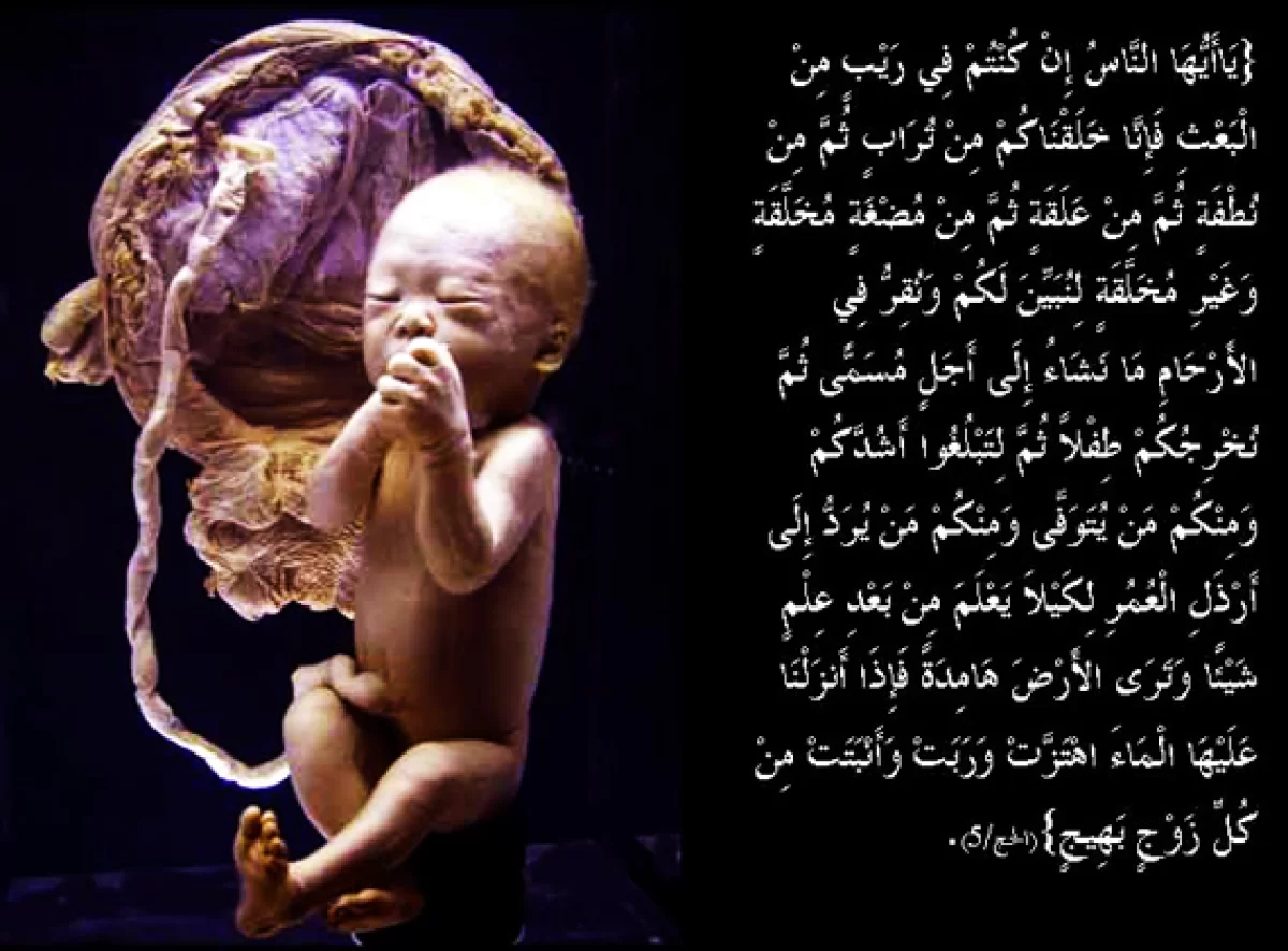 فواید خواندن قرآن در بارداری
