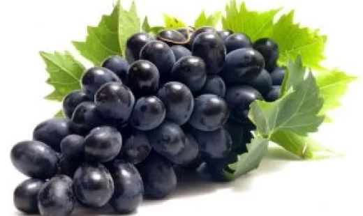 خوردن انگور در باردرای