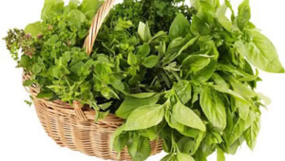 خوردن سبزی در بارداری